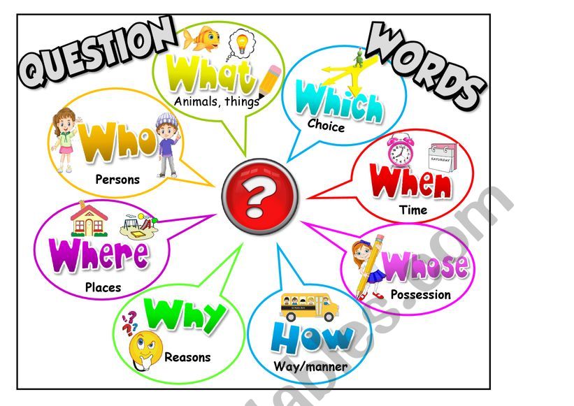 question words worksheet