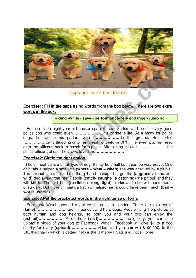 Dogs are mans best friends worksheet