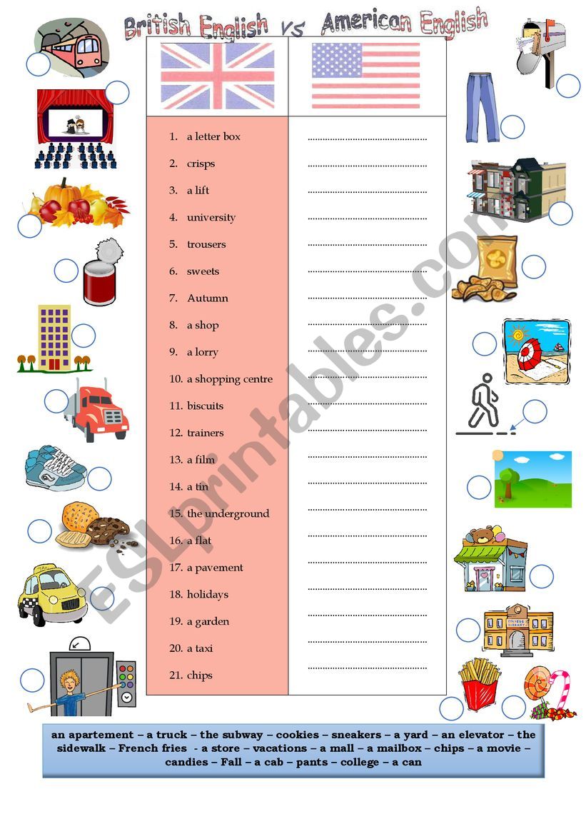 British VS American  worksheet