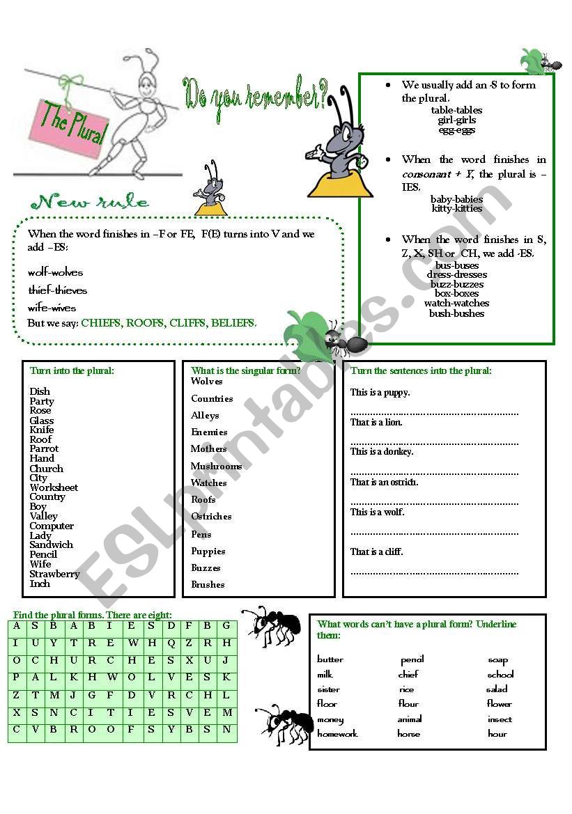 THE PLURAL worksheet