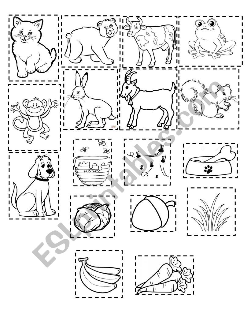 What do animals eat? worksheet