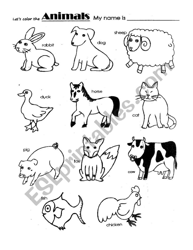 animals worksheet