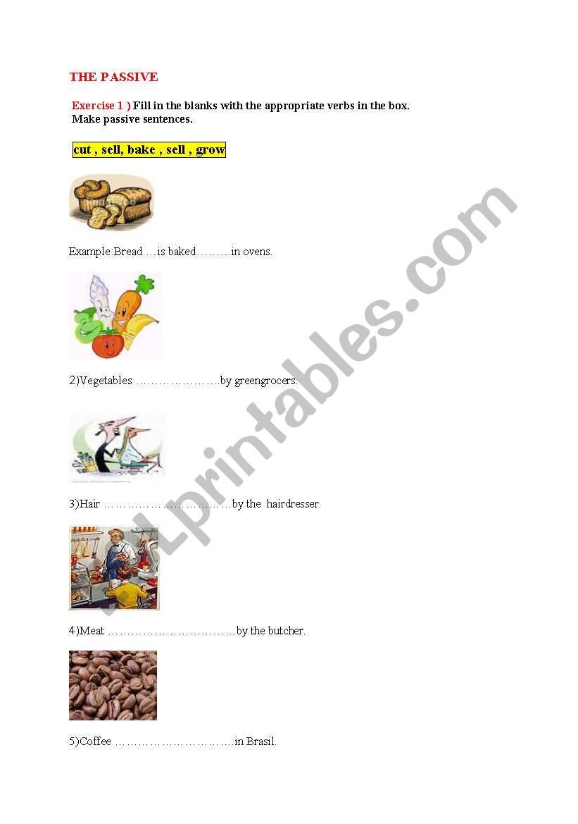 passive voice worksheet