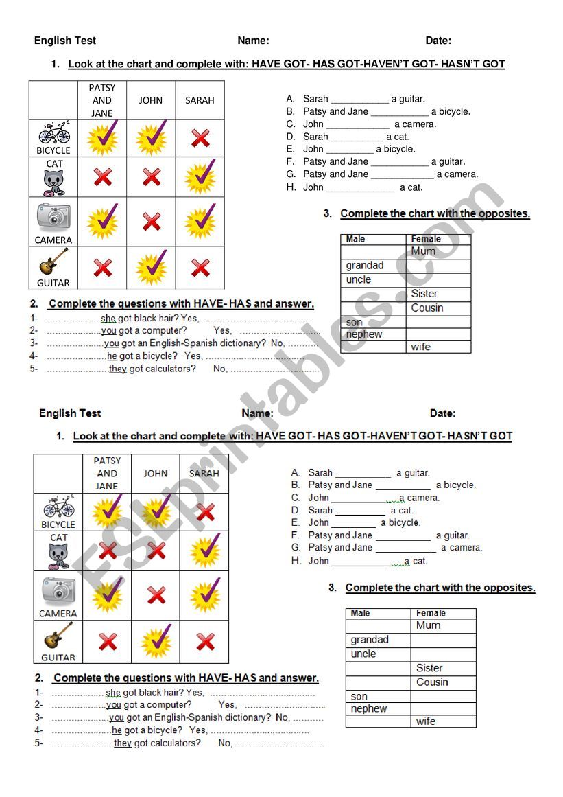 have got- has got worksheet