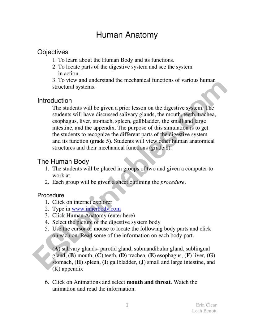 Human body worksheet