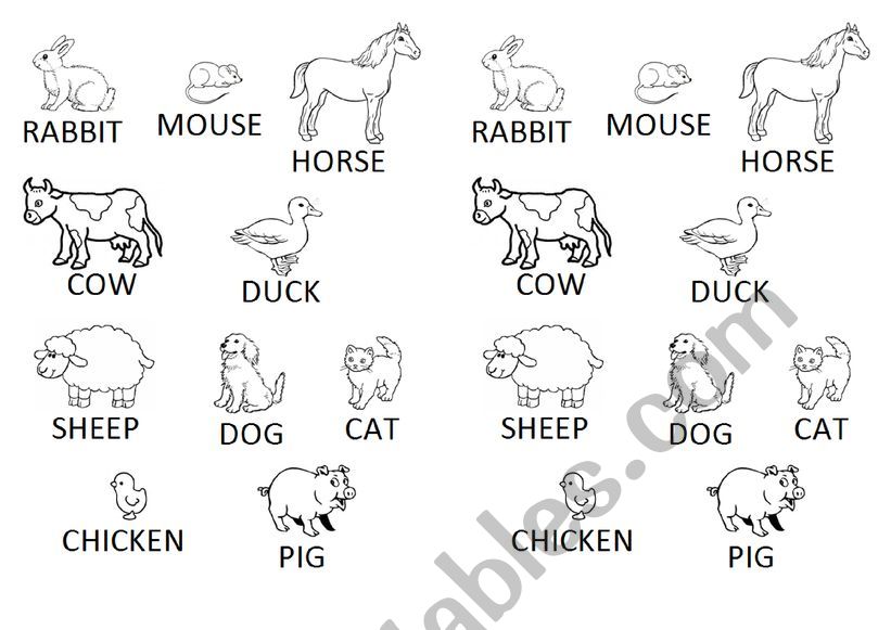 Animals worksheet