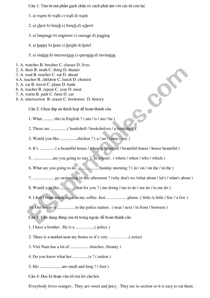 exercise worksheet