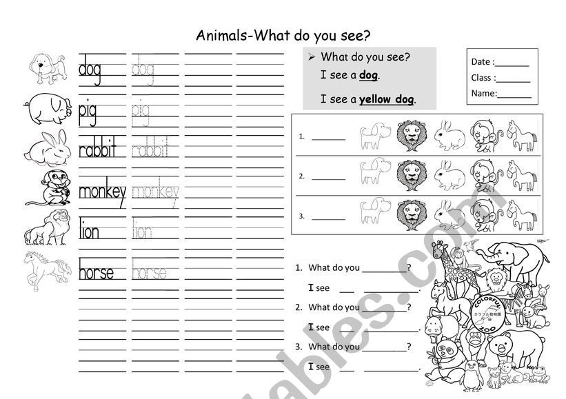 what do you see worksheet