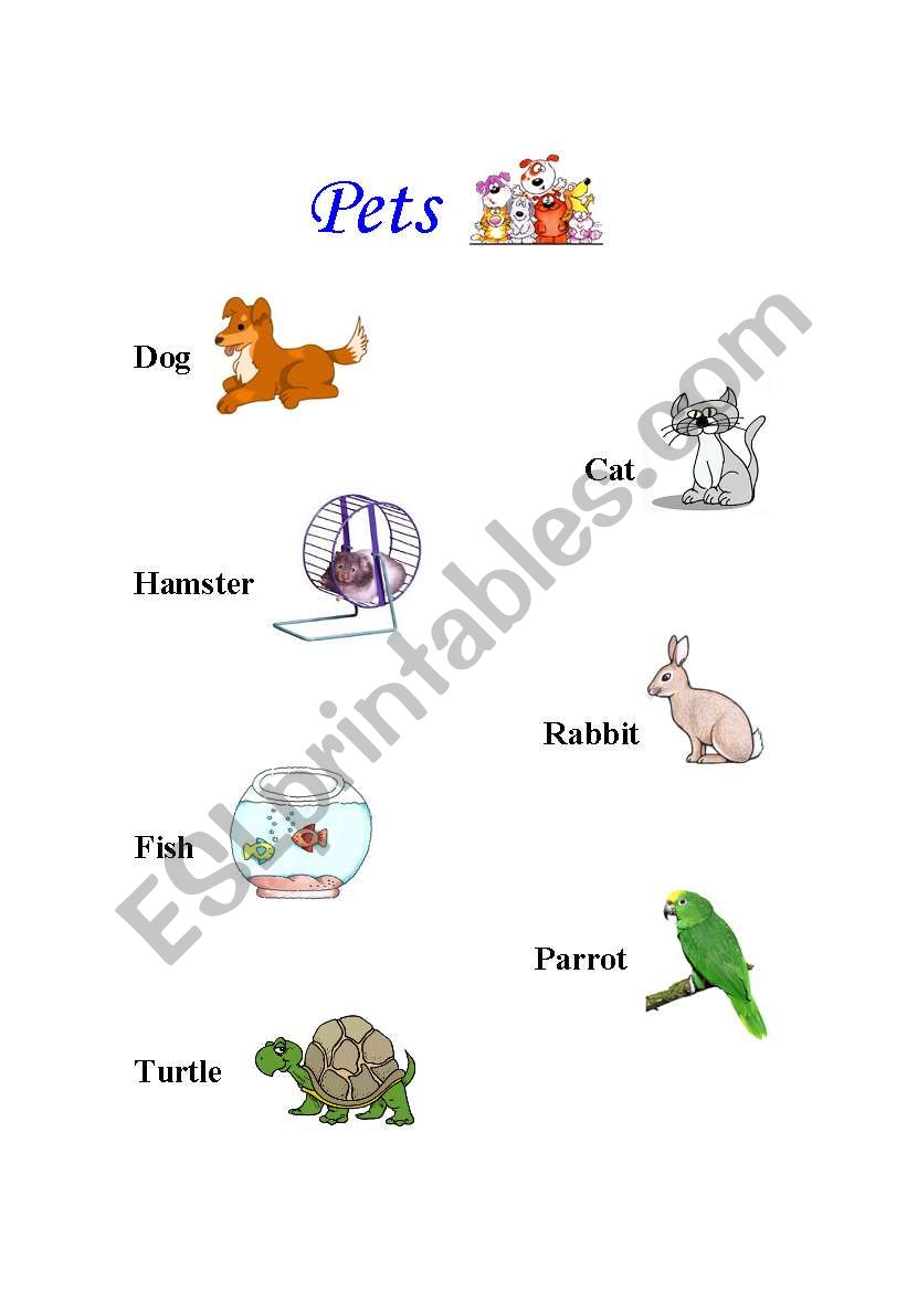 Pets worksheet