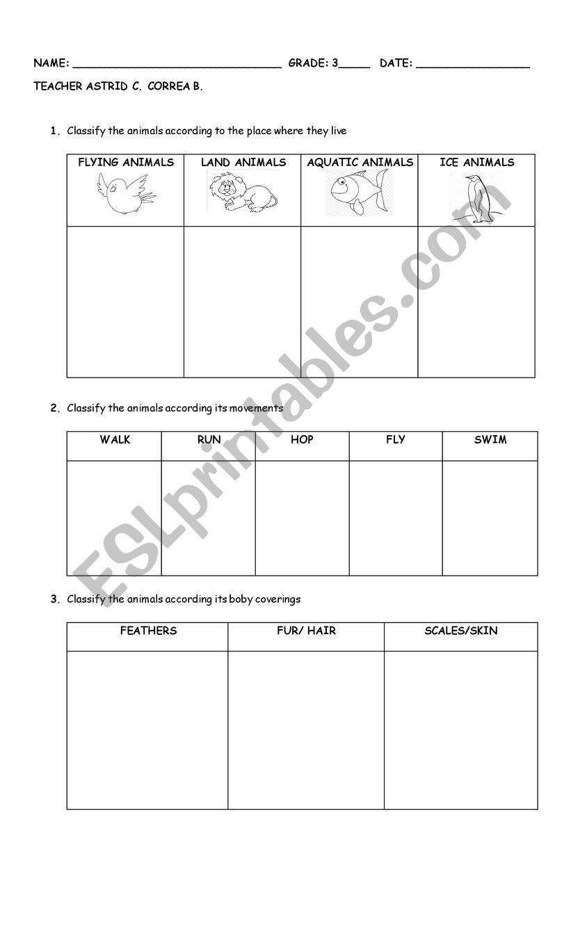 animals classification worksheet