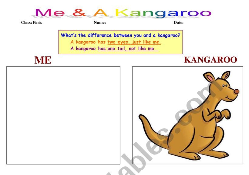 the differences between me and a kangaroo