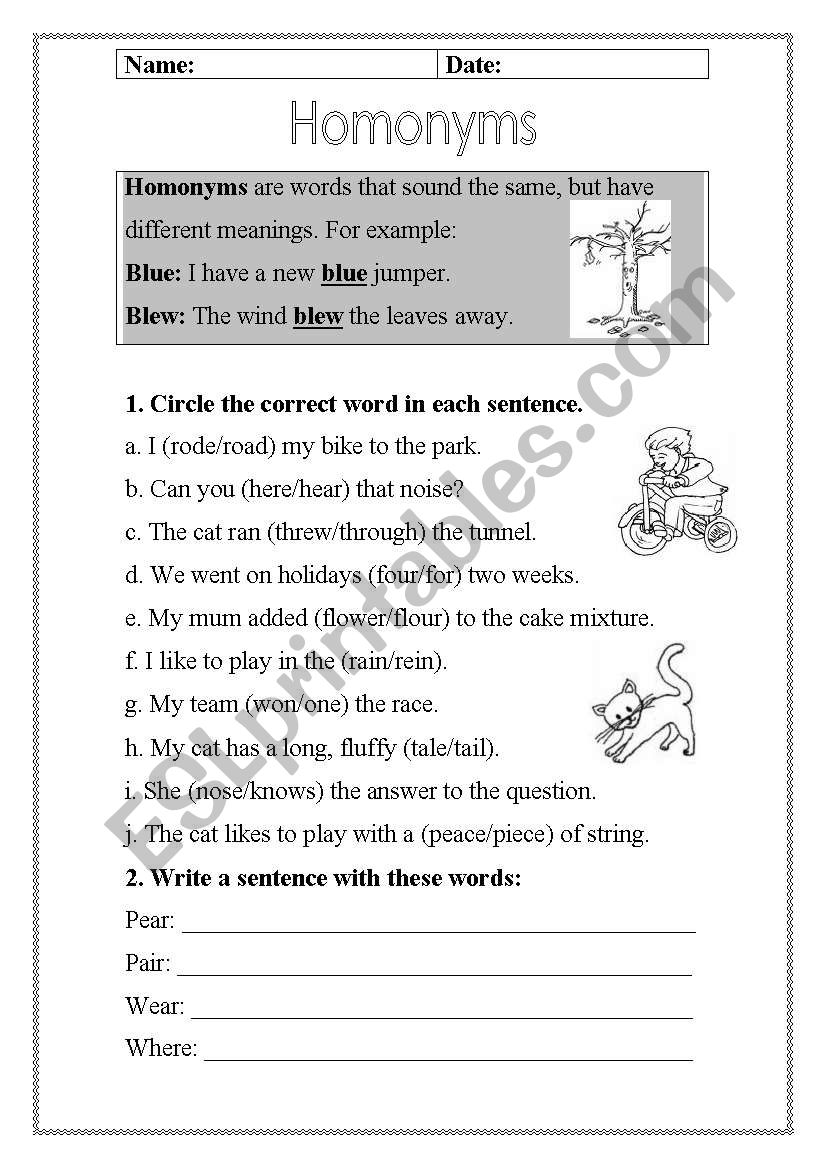 Homonyms worksheet