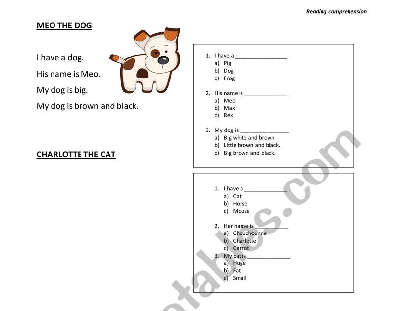 reading comprehension worksheet