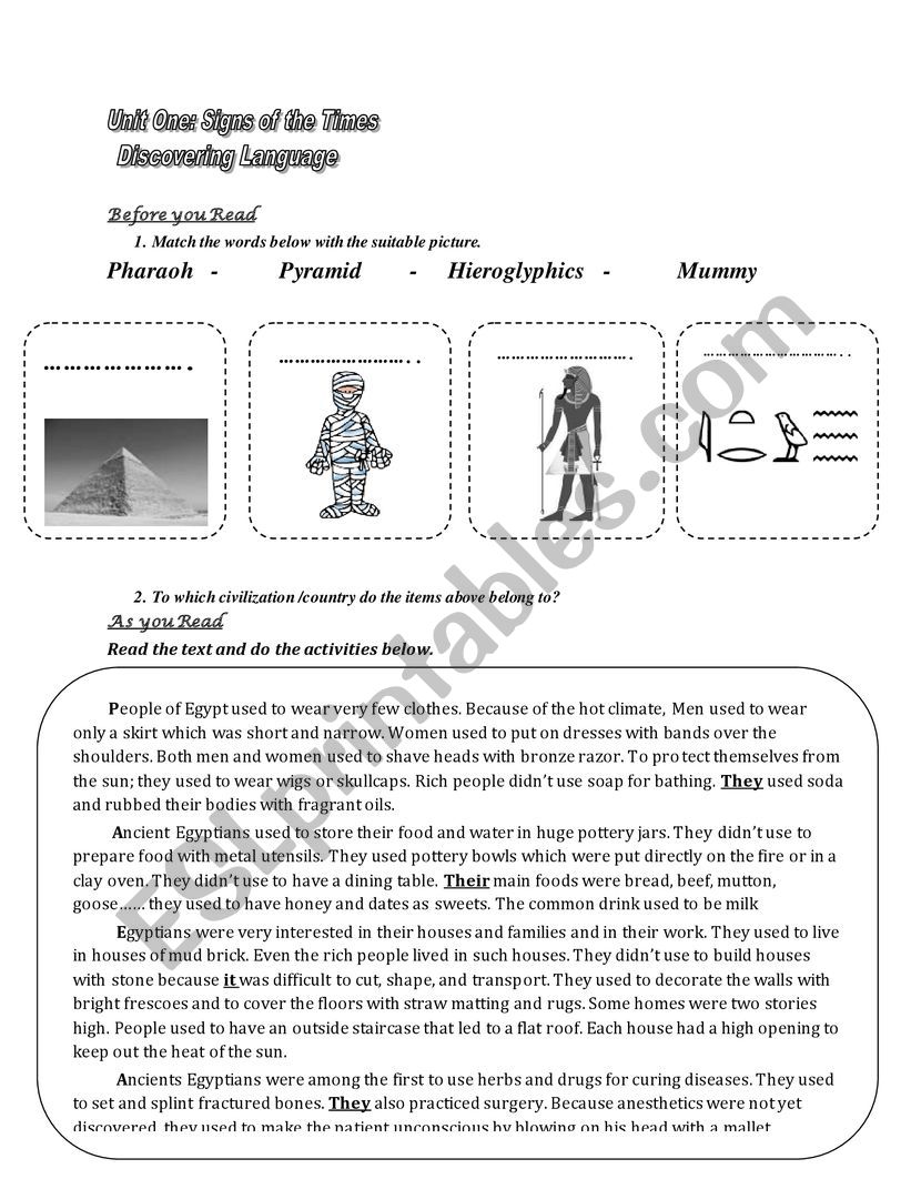 Life in Ancient Egypt worksheet