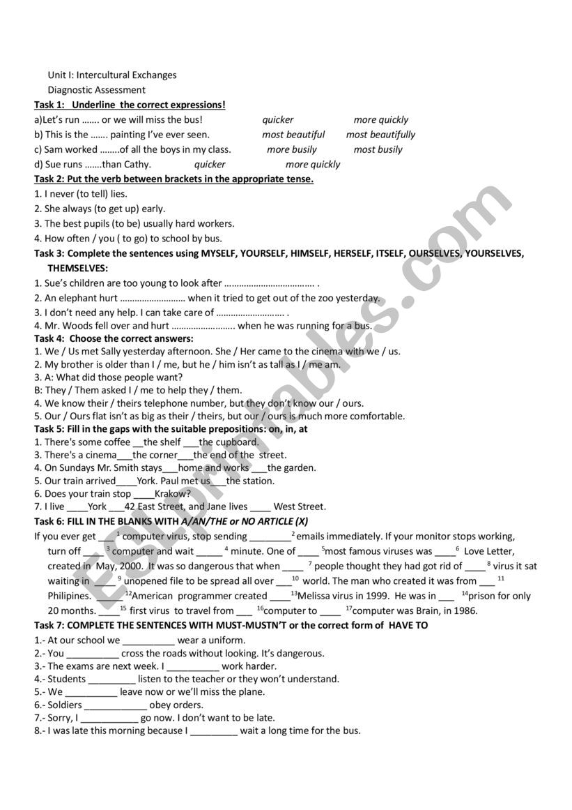 Intercultural Exchanges Diagnostic Assessment