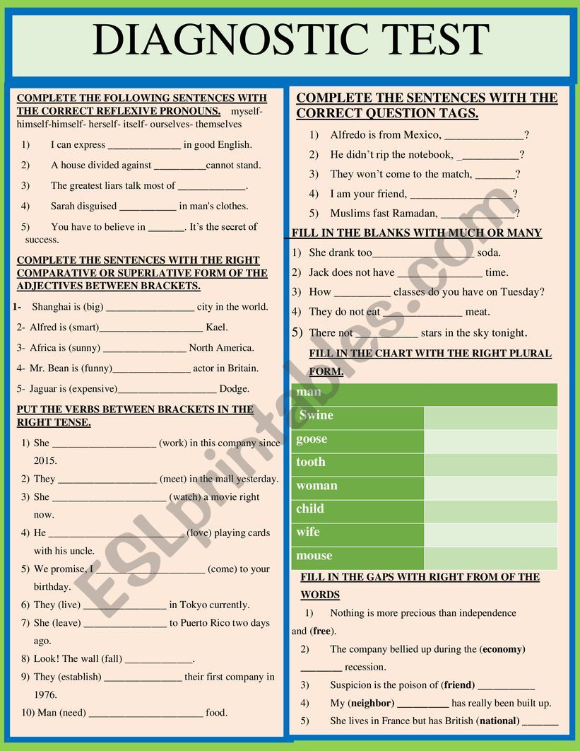 DIAGNOSTIC TEST worksheet