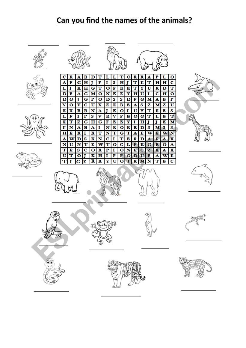 wild animals worksheet