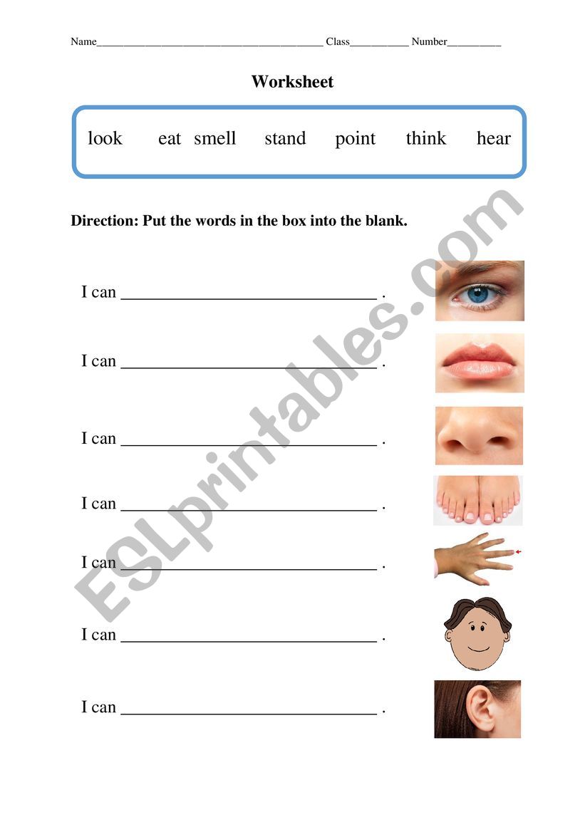 Body Parts worksheet