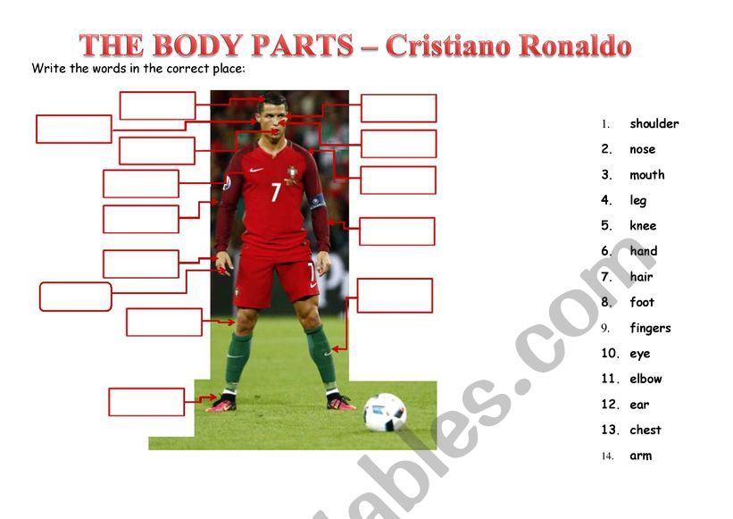 Body parts - Cristiano Ronaldo