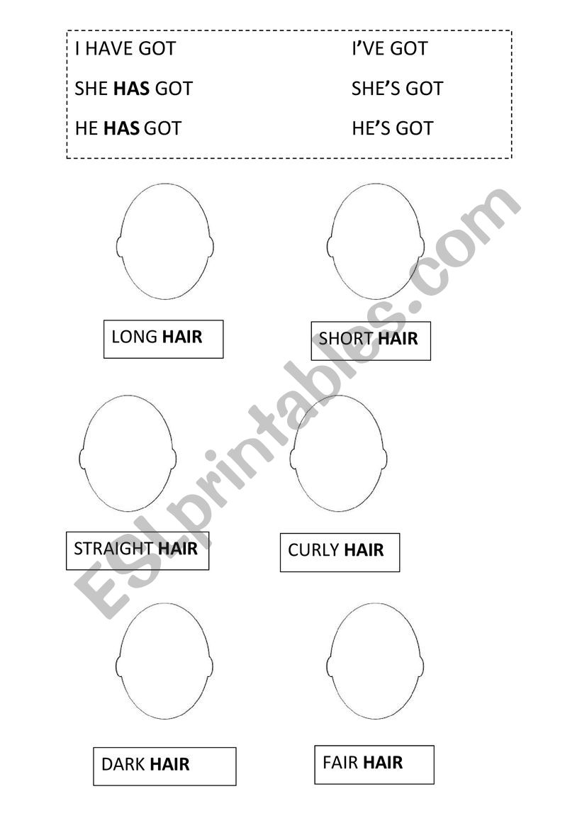 physical description worksheet