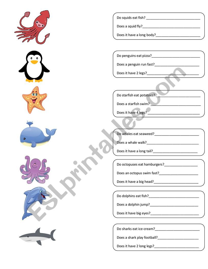 Do/Does questions with sea animals