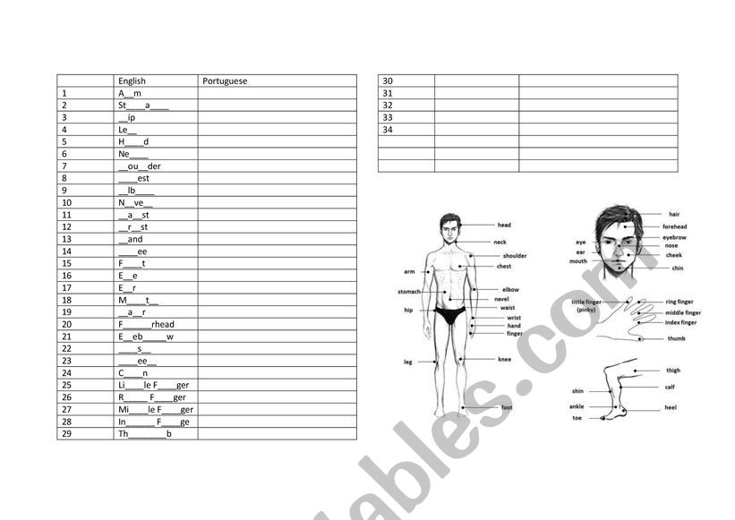 The Body - vocabulary exercise