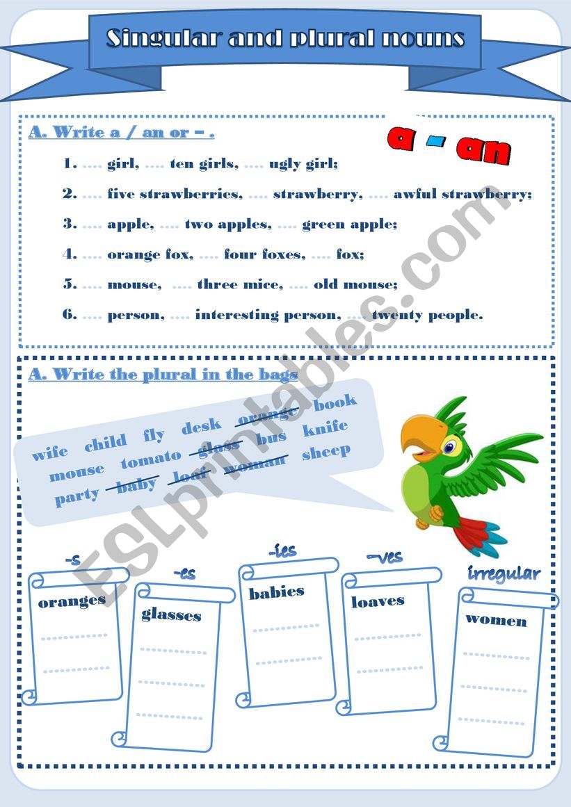 Write the plural form of the given nouns and use them to construct a  sentence.BAG - Brainly.ph