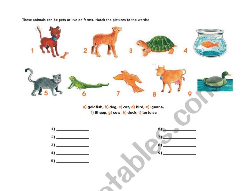 PET ANIMALS - ESL worksheet by dilupe