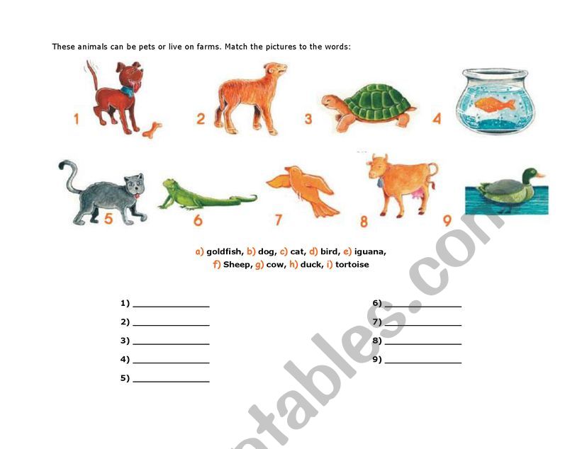 PET ANIMALS - ESL worksheet by dilupe PET ANIMALS - ESL worksheet by dilupe