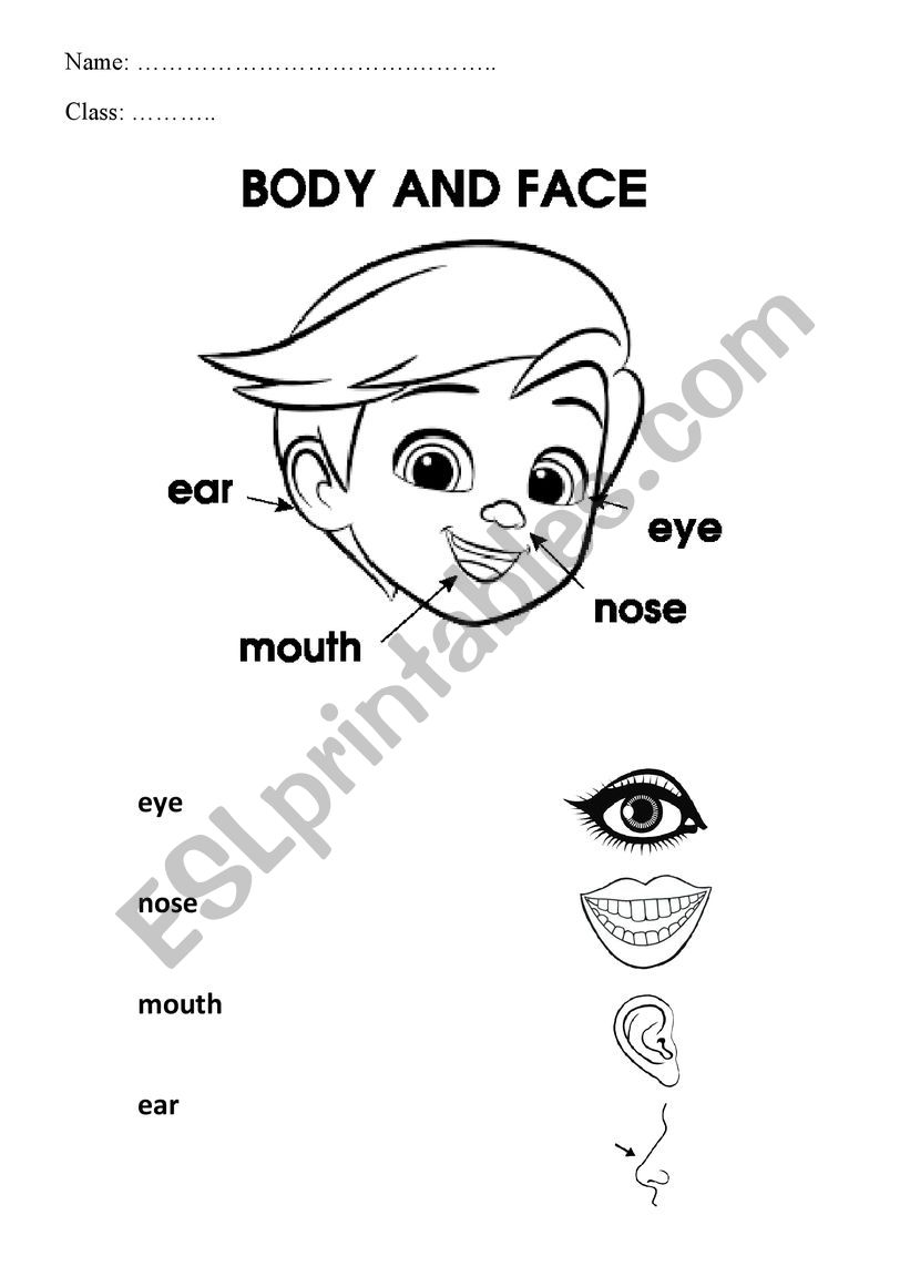 Face worksheet