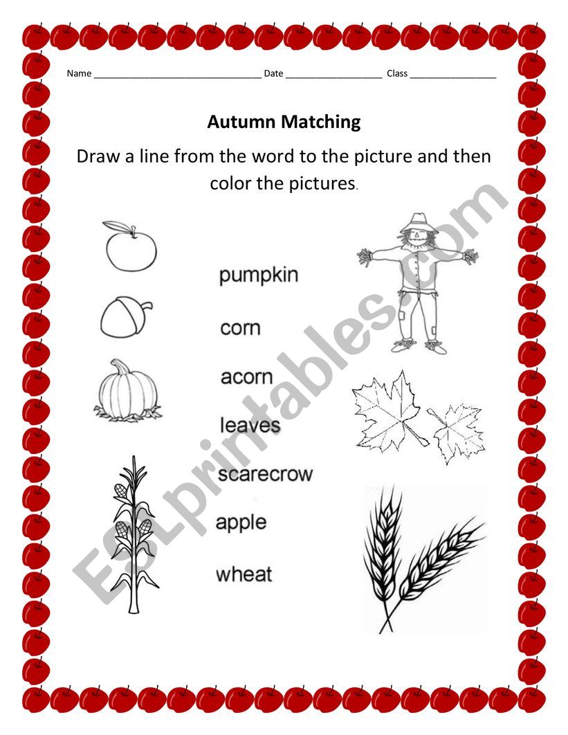 Autumn matchin worksheet