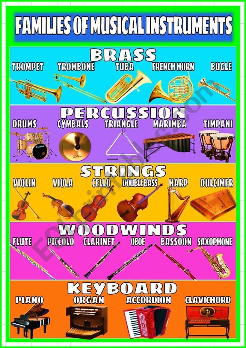 INSTRUMENTS & FAMILIES PICTIONARY