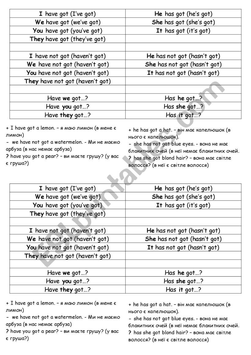 have and has worksheet