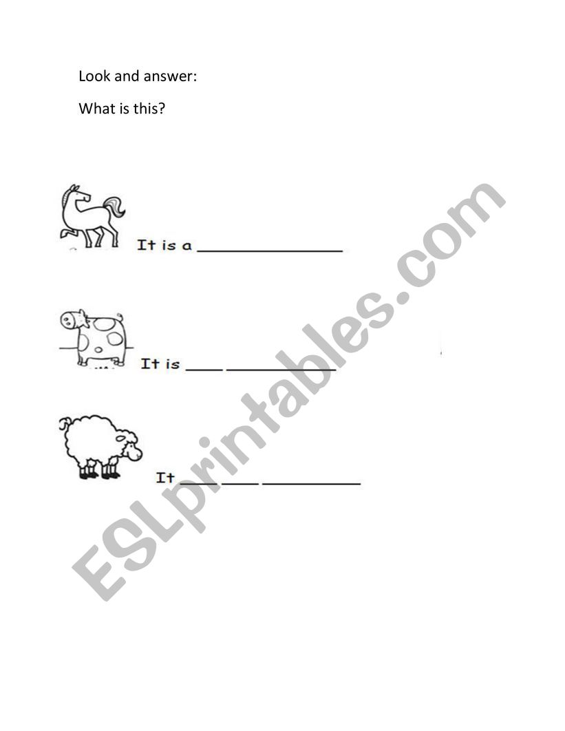 animals worksheet