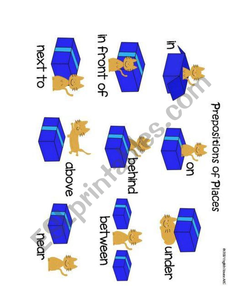 Preposition of place worksheet