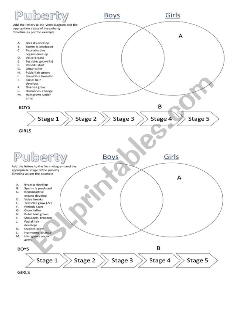 Changes during puberty worksheet