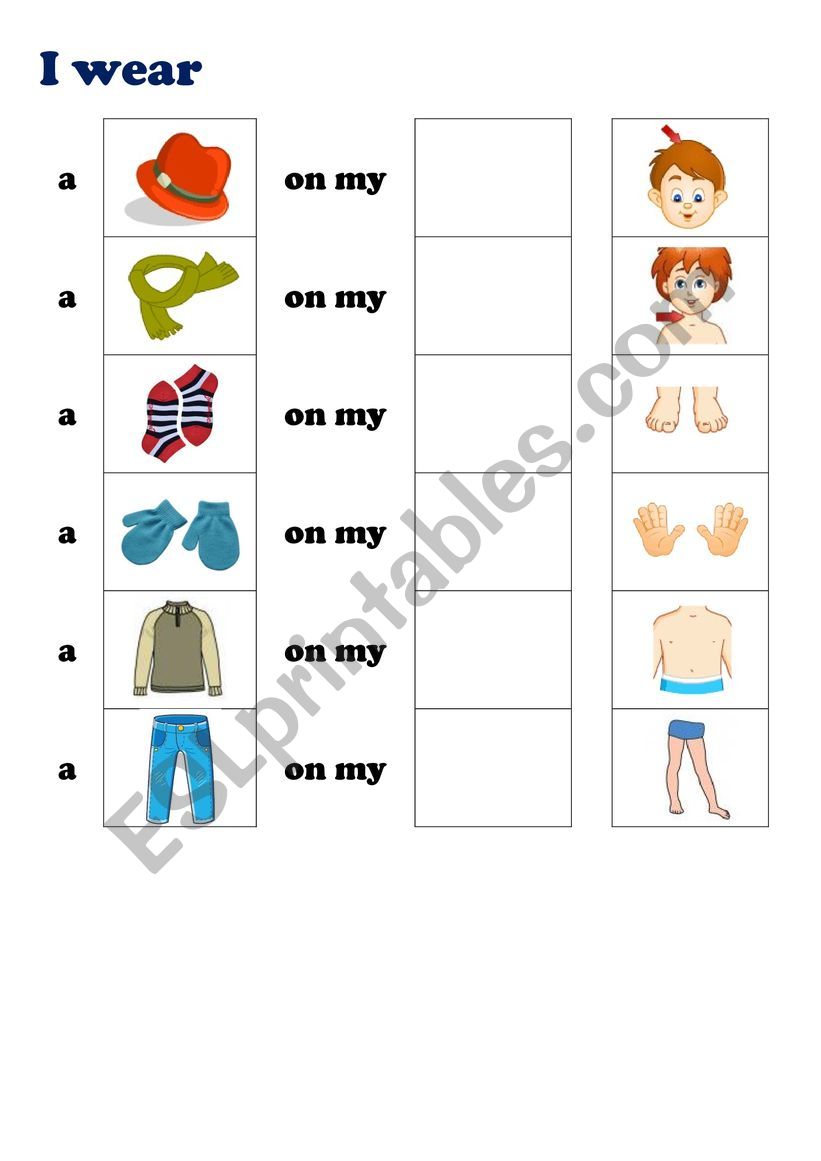 Body parts and clothes worksheet