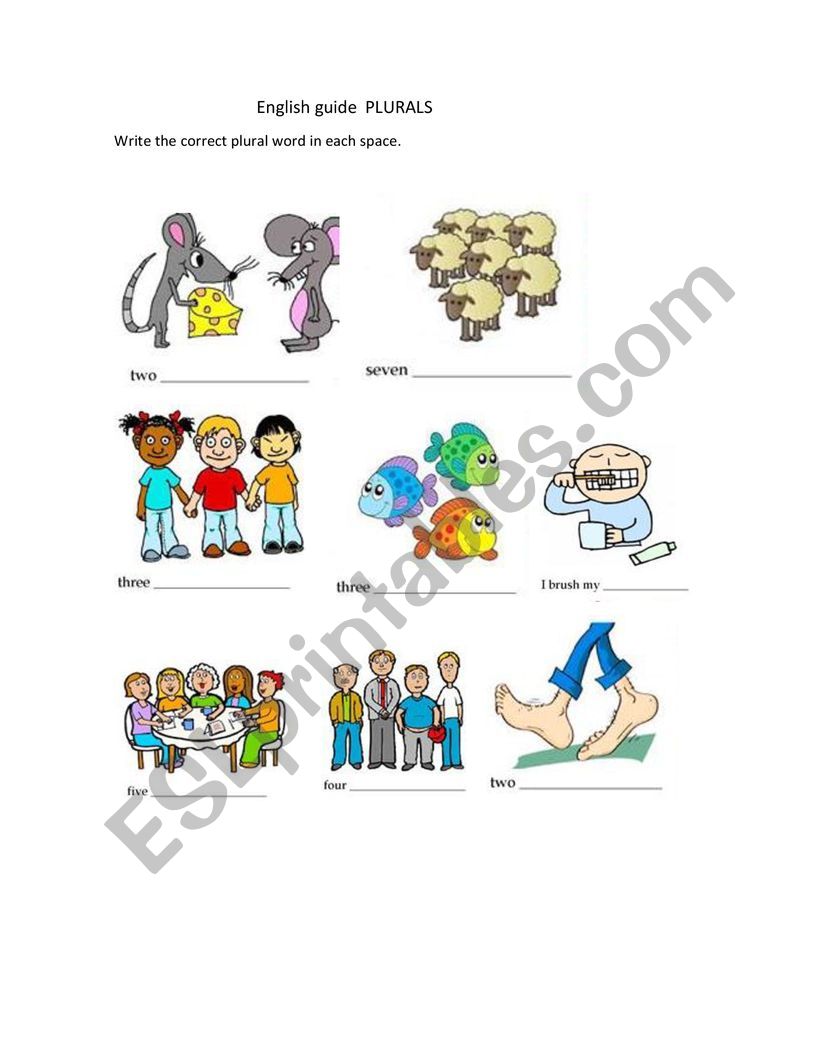 Irregulars Plurals worksheet