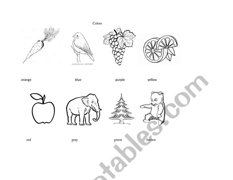 Colors worksheet