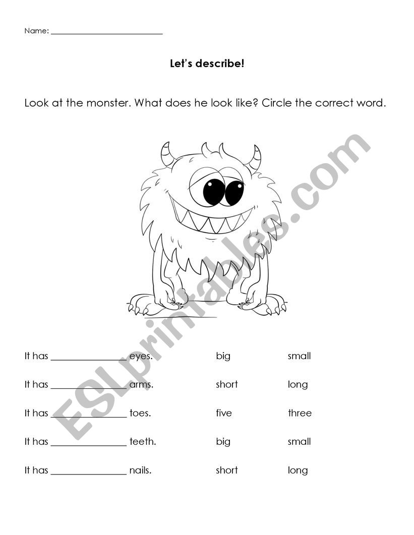 Basic description worksheet