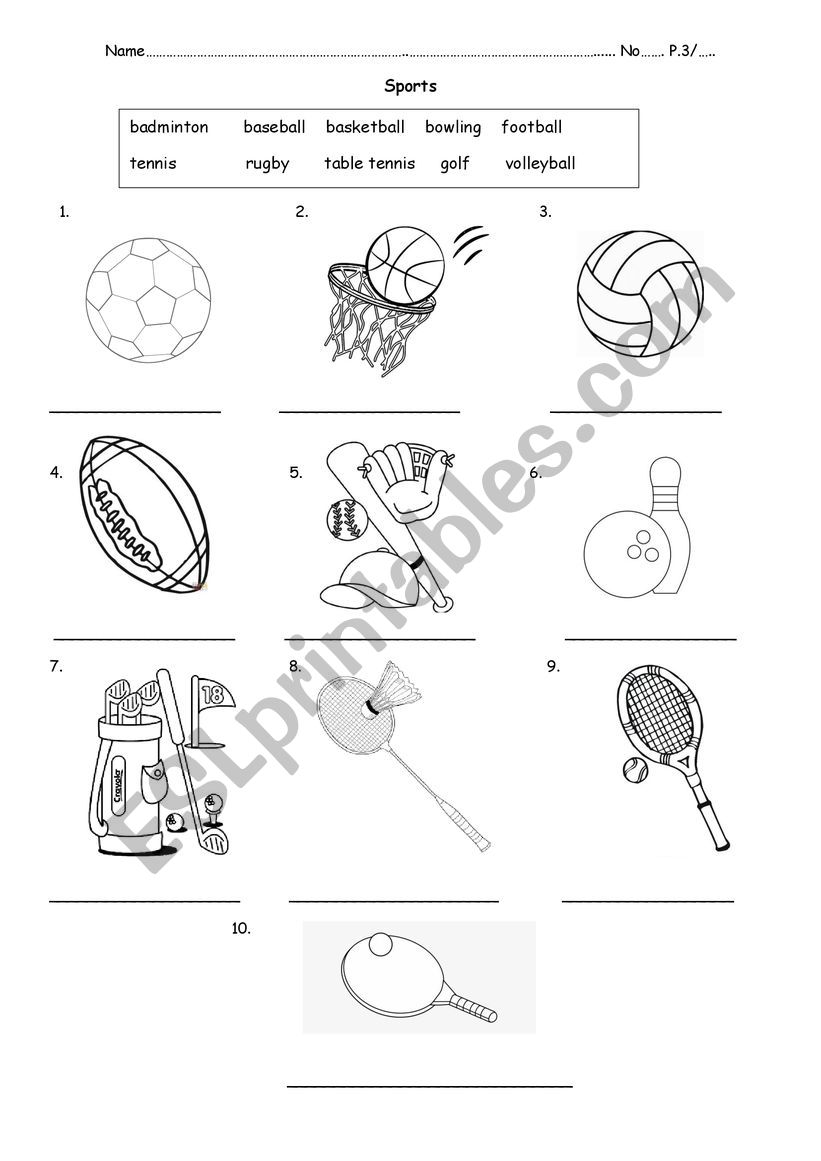 Sports worksheet