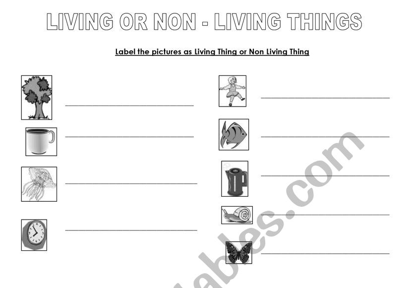 Living and non linving  worksheet