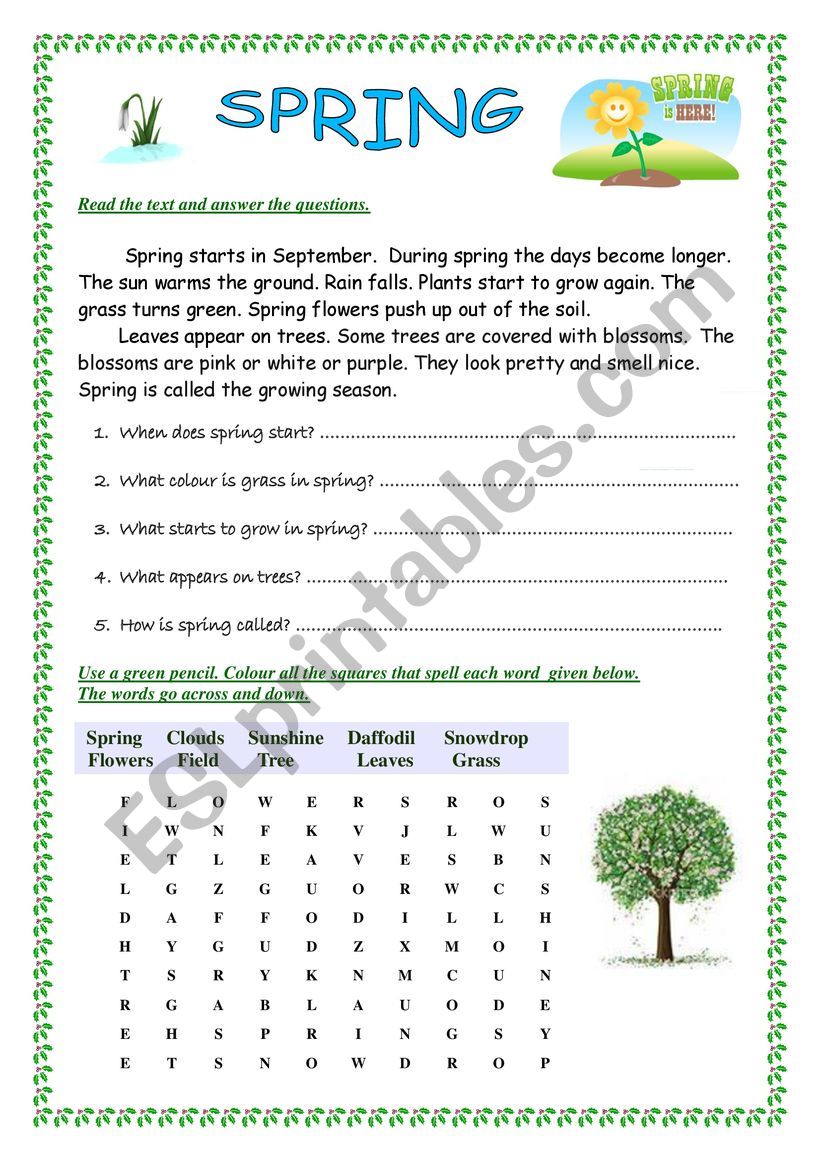 spring reading worksheet