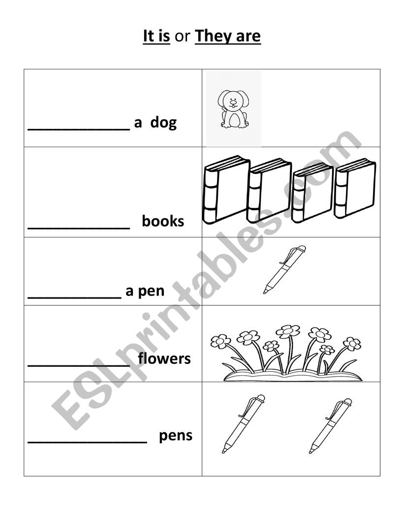 Is it or they are? worksheet