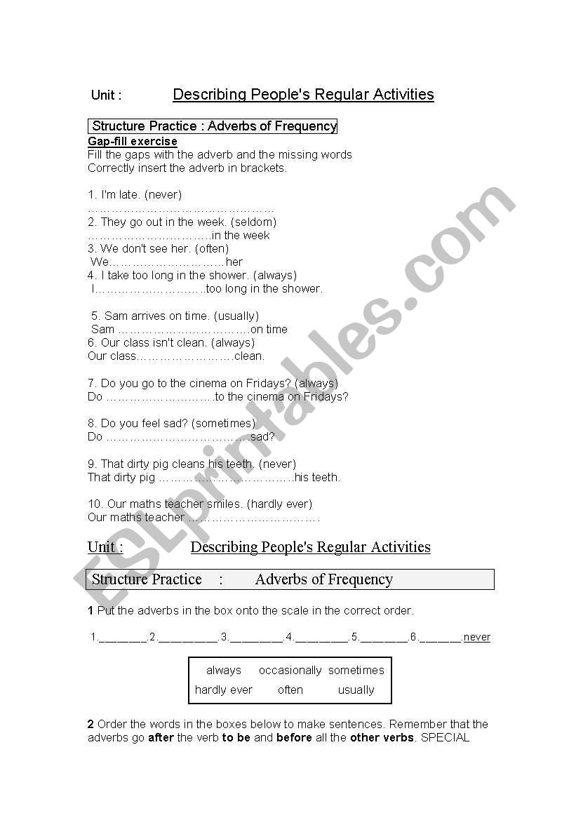 adverbs of frequency worksheet