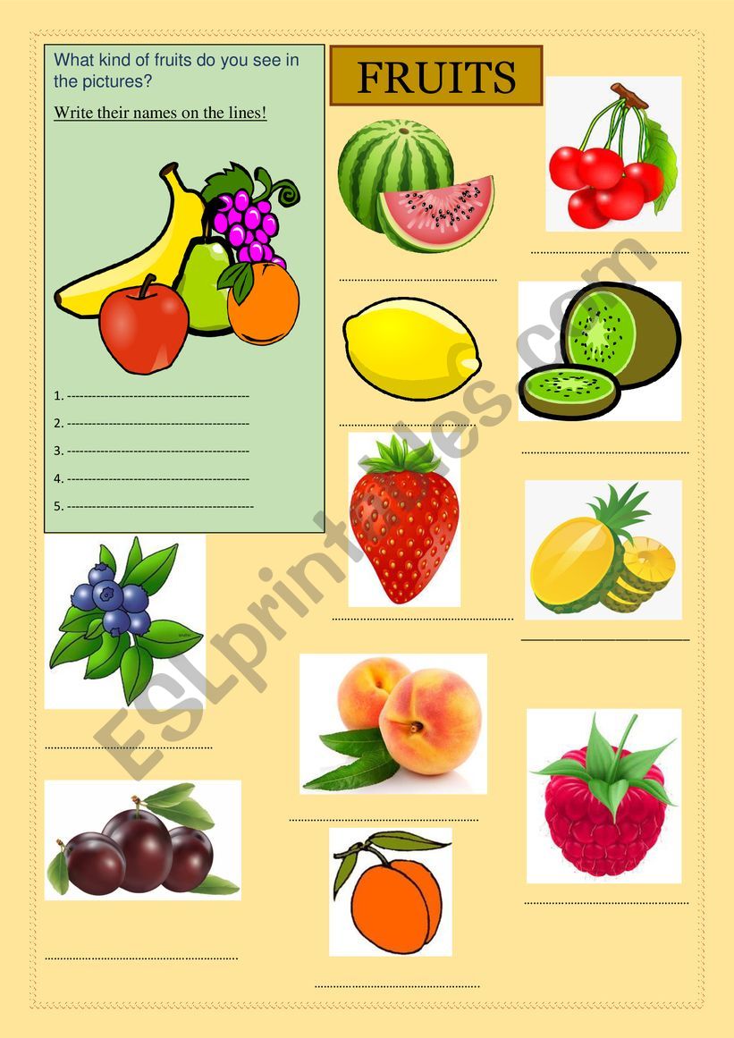 Fruits worksheet