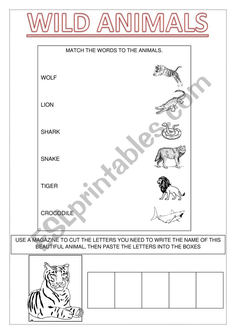 Wild Animals - Tiger worksheet