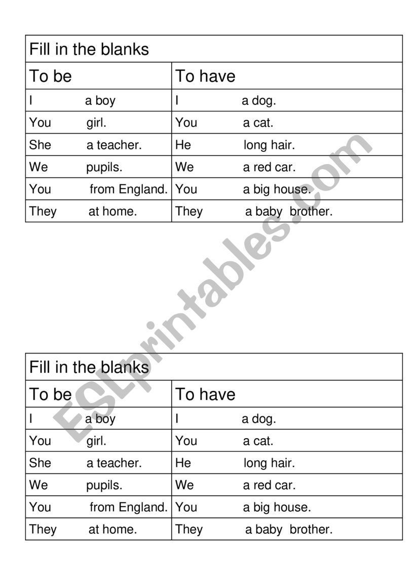 To Be and To Have Review worksheet