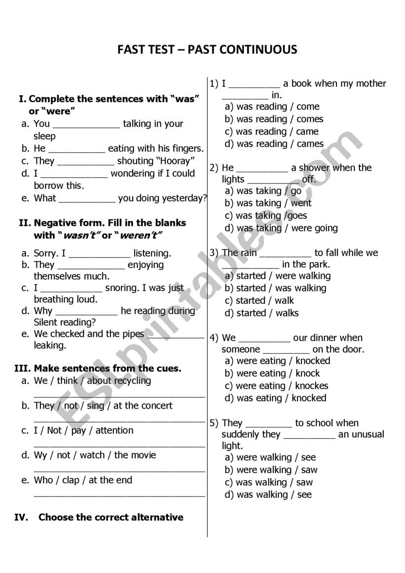 FAST TEST - PAST CONTINUOUS worksheet