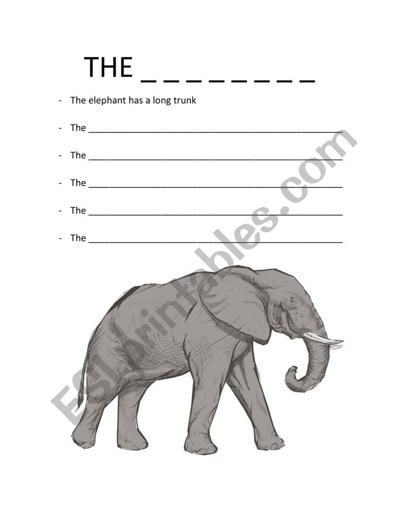 The elephant worksheet